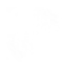 instagram-icon.webp
