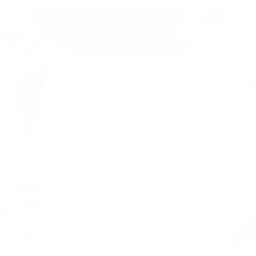 youtube-icon.webp