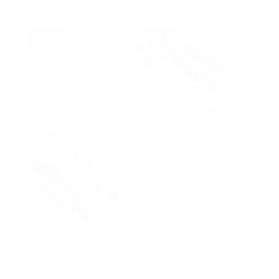 facebook-icon.webp